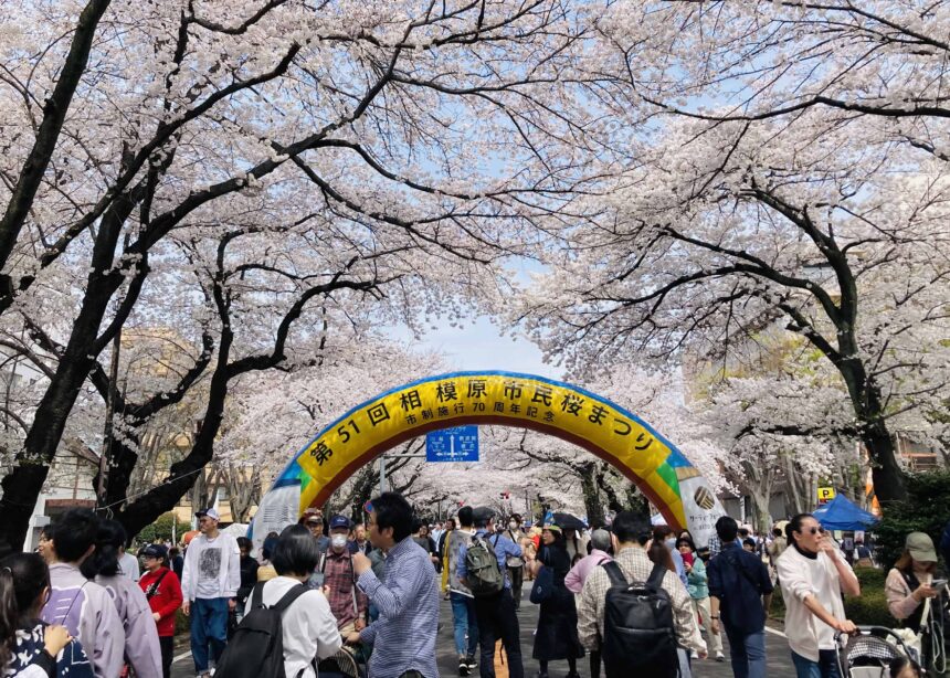 美都住販　mitoHOUSE　分譲住宅　見学　建売住宅　注文住宅　リフォーム　相模原　地域情報　ライフスタイル　桜まつり