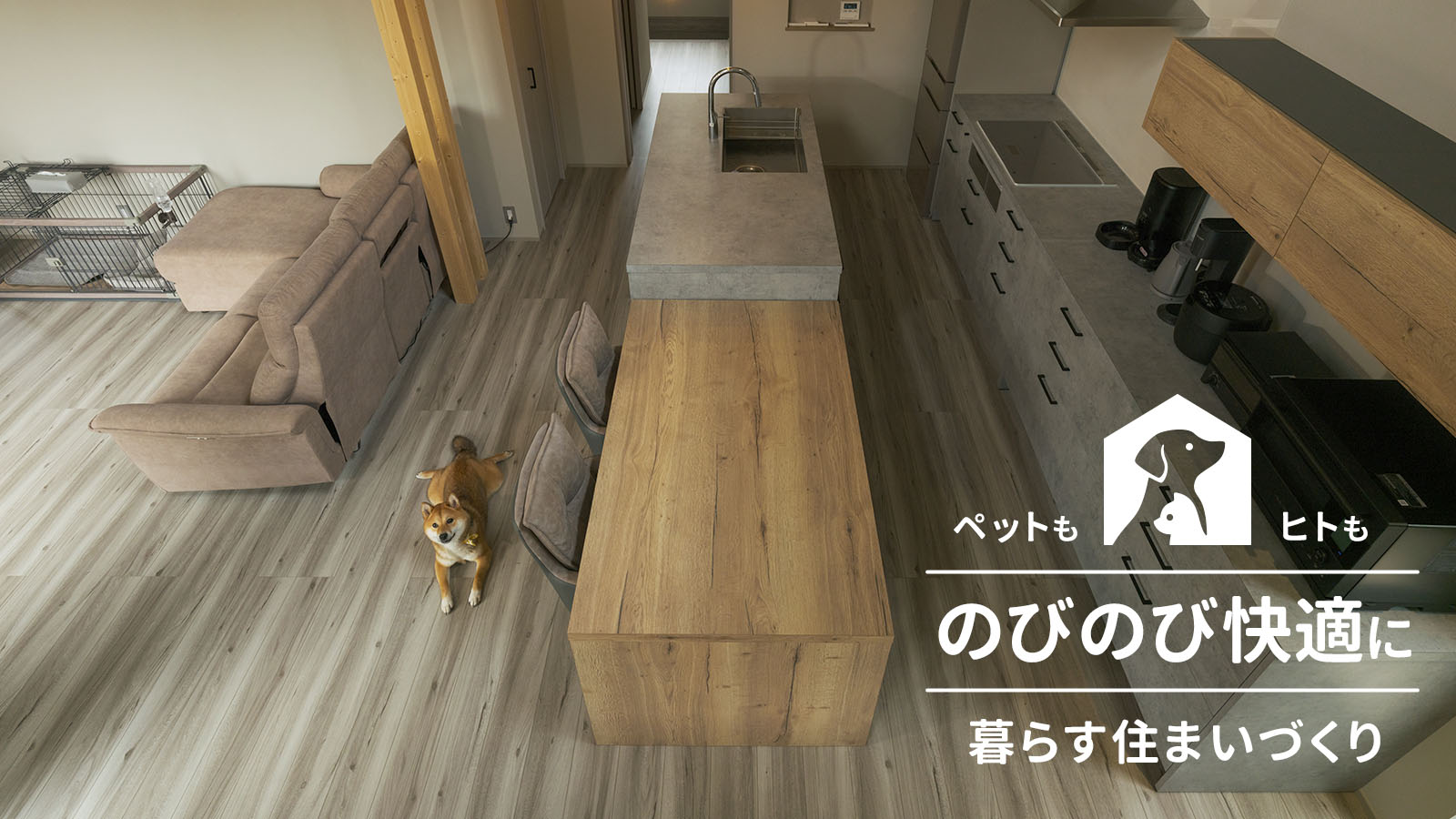 【注文住宅】「ペットも、ヒトも、のびのび快適に暮らす住まいづくり」を公開いたしました